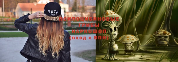 а пвп мука Верея
