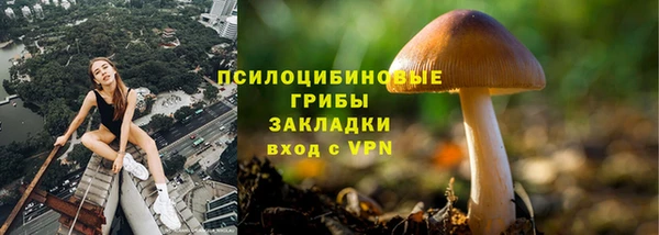 Альфа ПВП Верхний Тагил